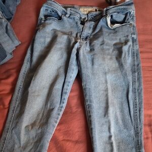 Classic Light Blue Women's Straight Leg Jeans. BeBe.